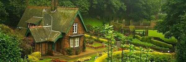 FernandoRamiroA Profile Banner