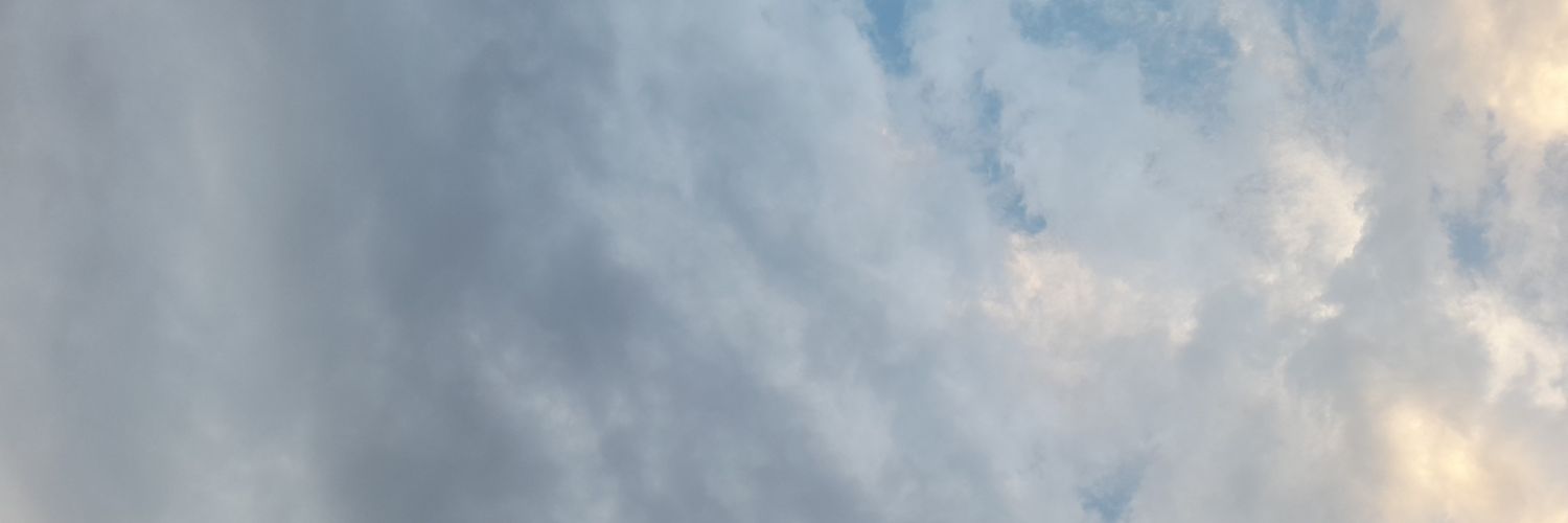ToleDaan's profile banner image