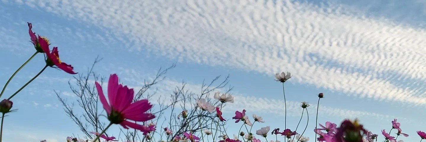 aono_masato's profile banner image