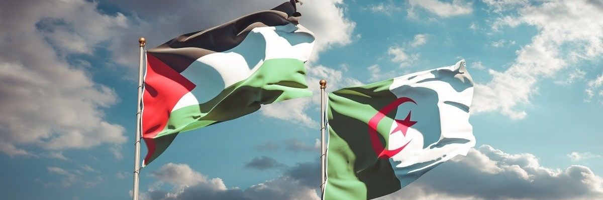 May مـــي 🩷🇩🇿🇪🇬's banner