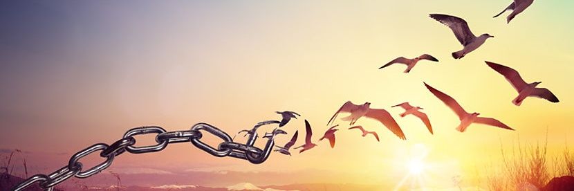ClaveDeVos's profile banner image