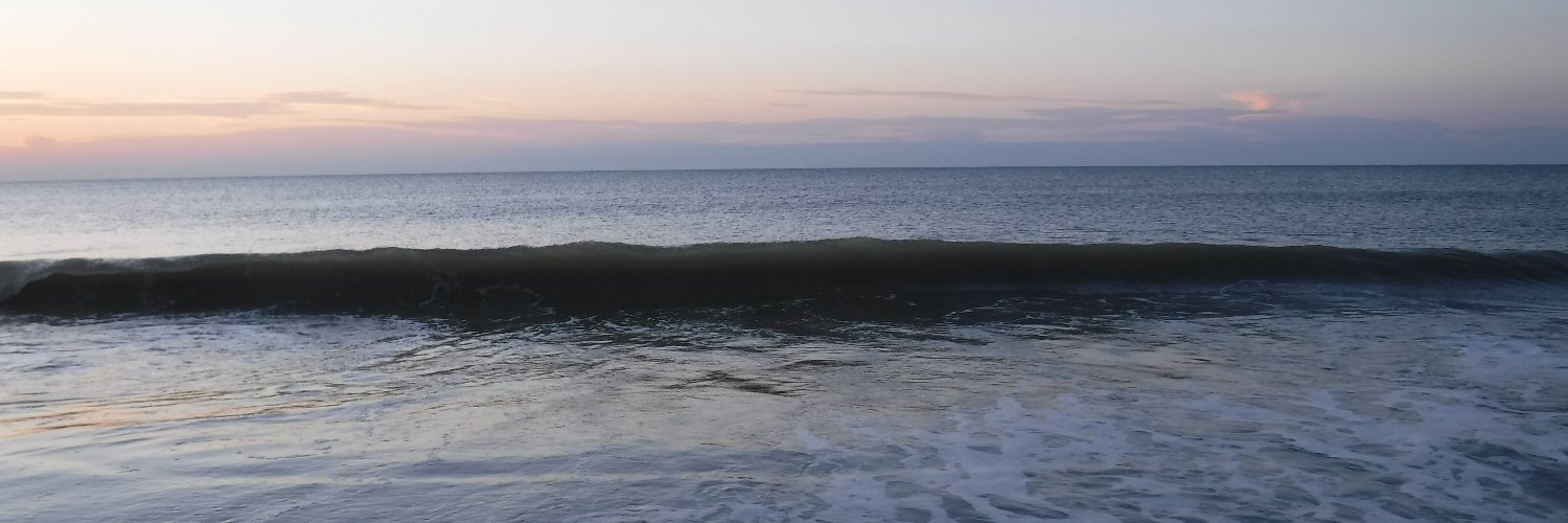 ashleymiranda banner