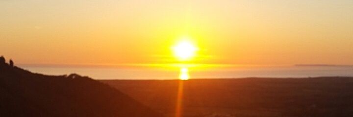 Tom_Bentham's profile banner image