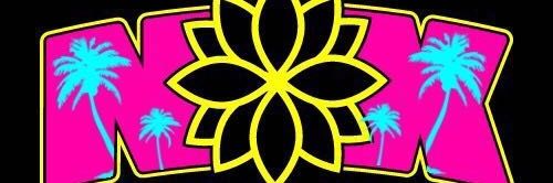 LichiSantamaria's profile banner image