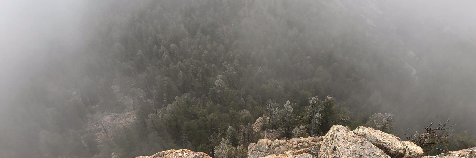 MsKristiana's profile banner image
