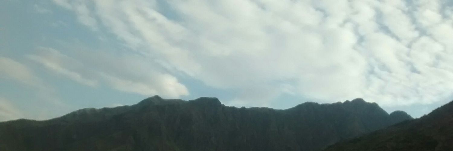 pumasuar's profile banner image