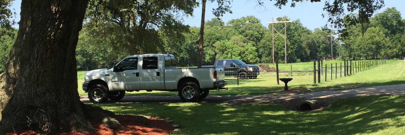 Shedrick Campbell banner