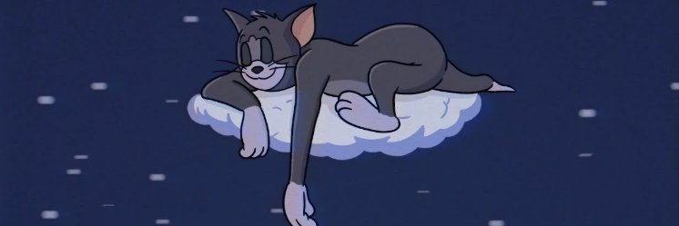 zSlqu's profile banner image