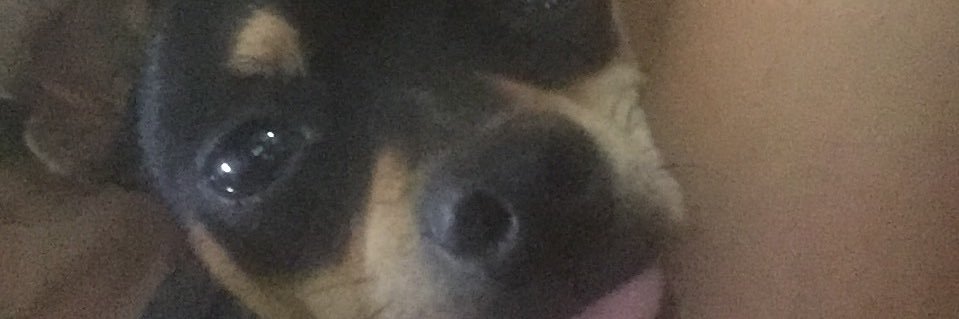 waltersebas_'s profile banner image