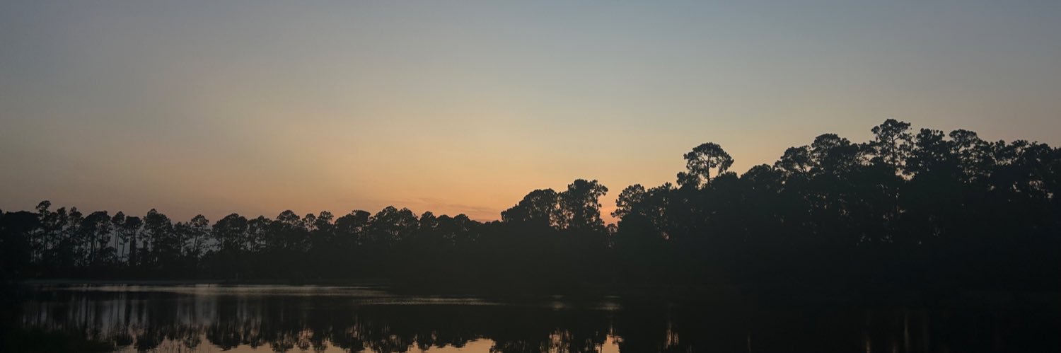 mrgnvstr's profile banner image