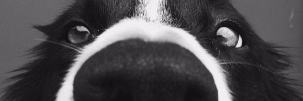TruthfulPoem997's profile banner image