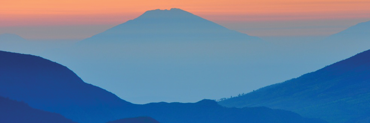 tvngocnga's profile banner image