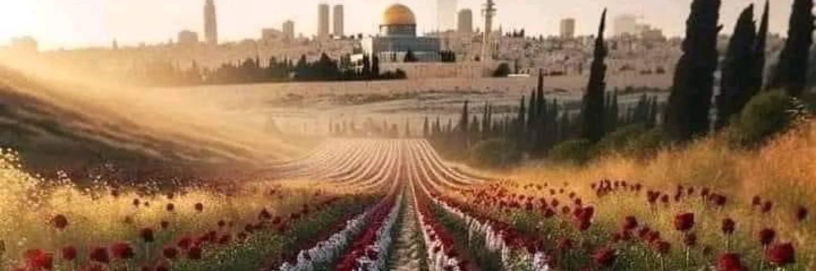 viva palestina banner