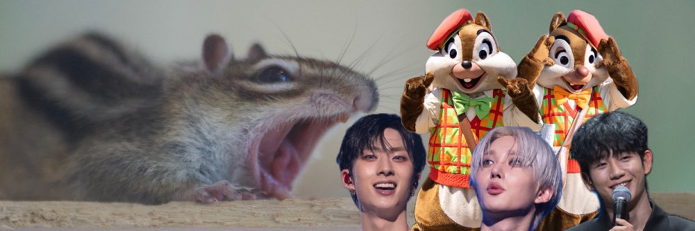 슬기로운 최애생활 banner