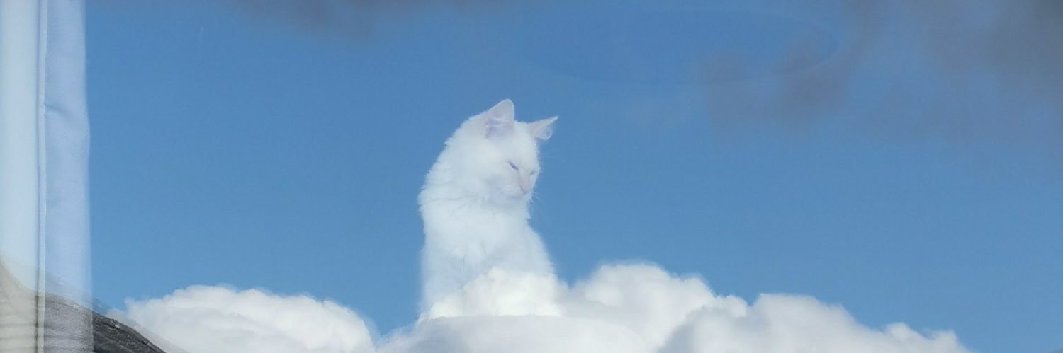 pcvdtxo_'s profile banner image
