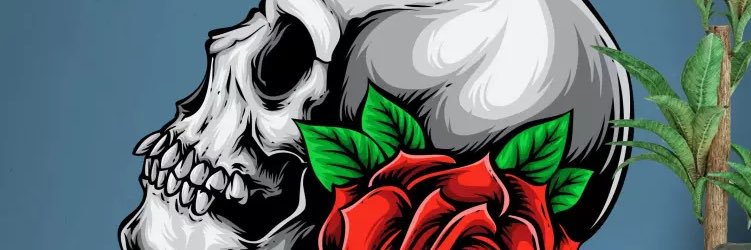 Robin I banner