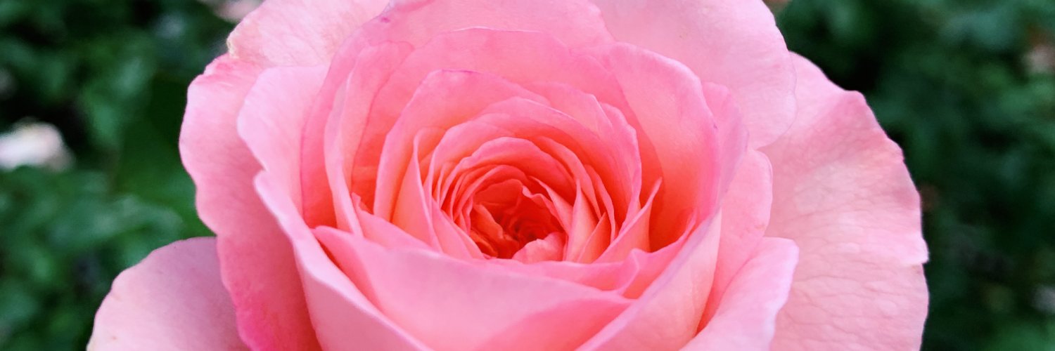 MayMend1211's profile banner image