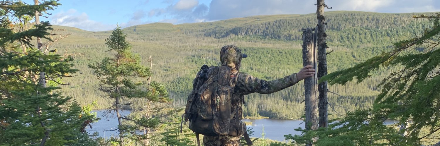 CaitlinGilbert's profile banner image