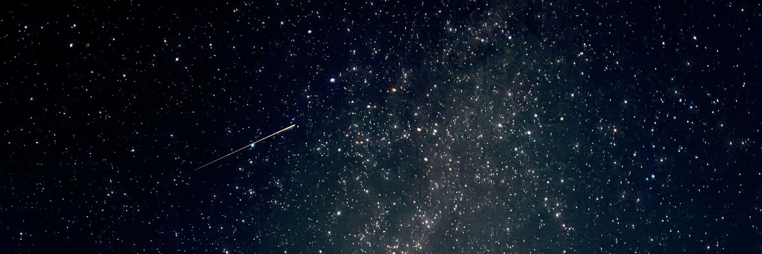 ppytcha's profile banner image