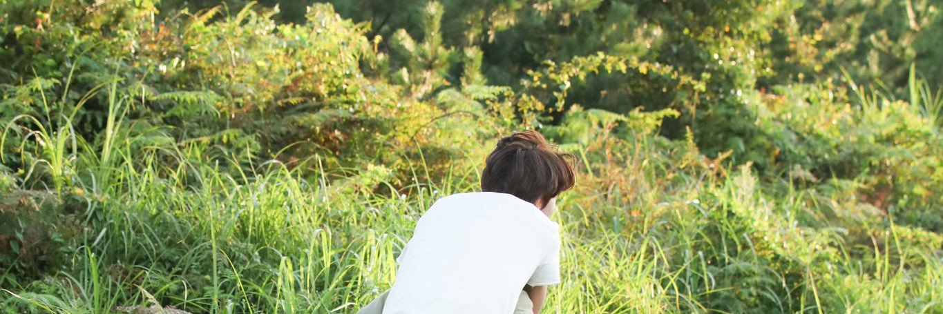 daun banner