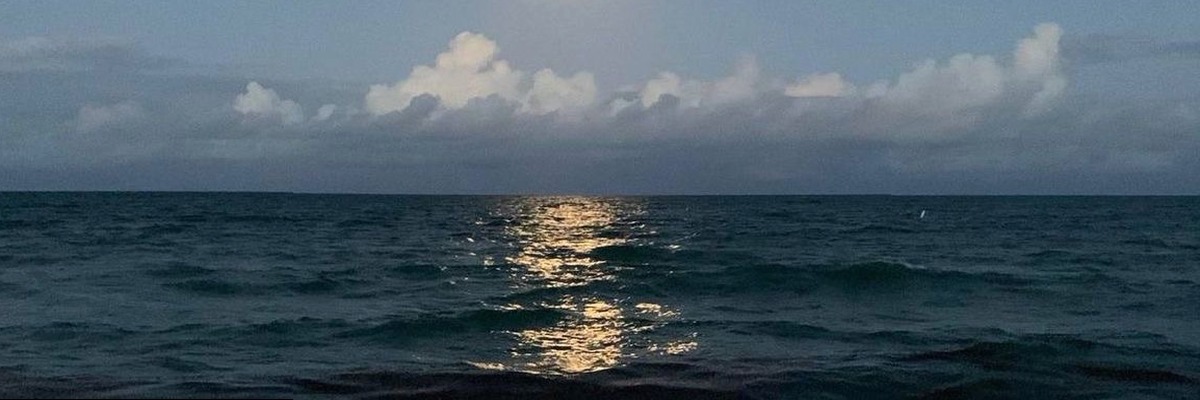 vikkysexxd's profile banner image