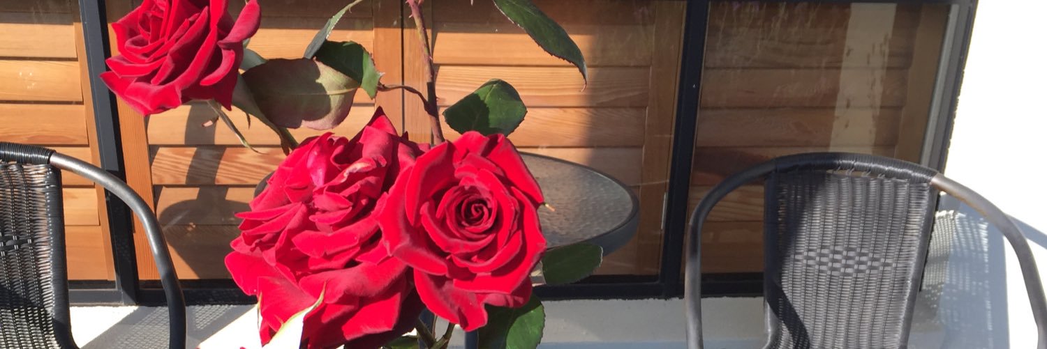 Sharon Barker banner