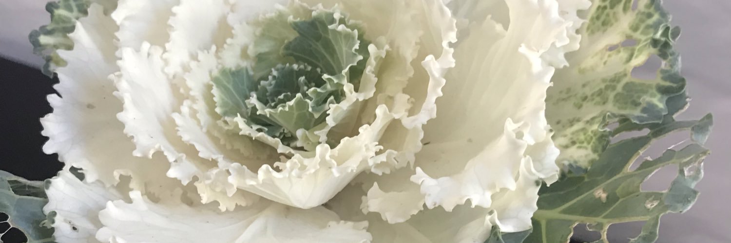 Florchus_am's profile banner image