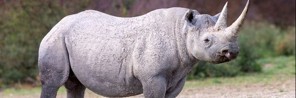 TimoGodsgiven Profile Banner