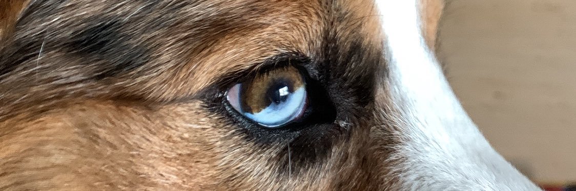 acgodirty's profile banner image