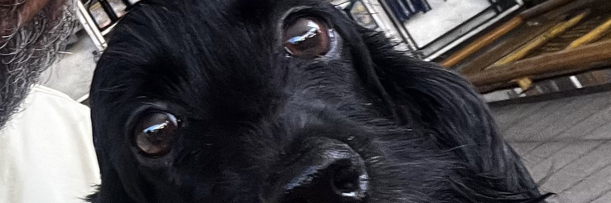 RicardoTeotonio's profile banner image