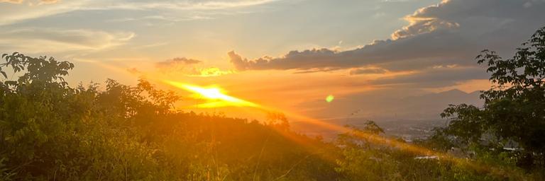 Francisco Torrez banner