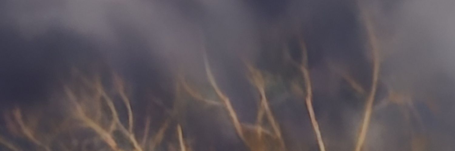 weberdlee's profile banner image