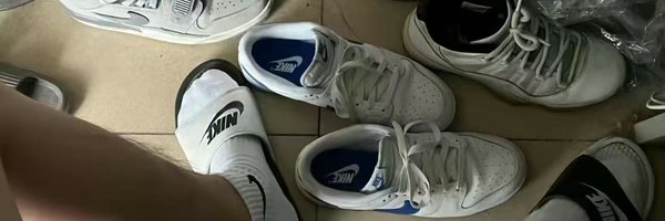 mpltw14562589 Profile Banner