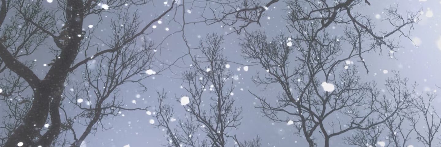 たんぱく's banner