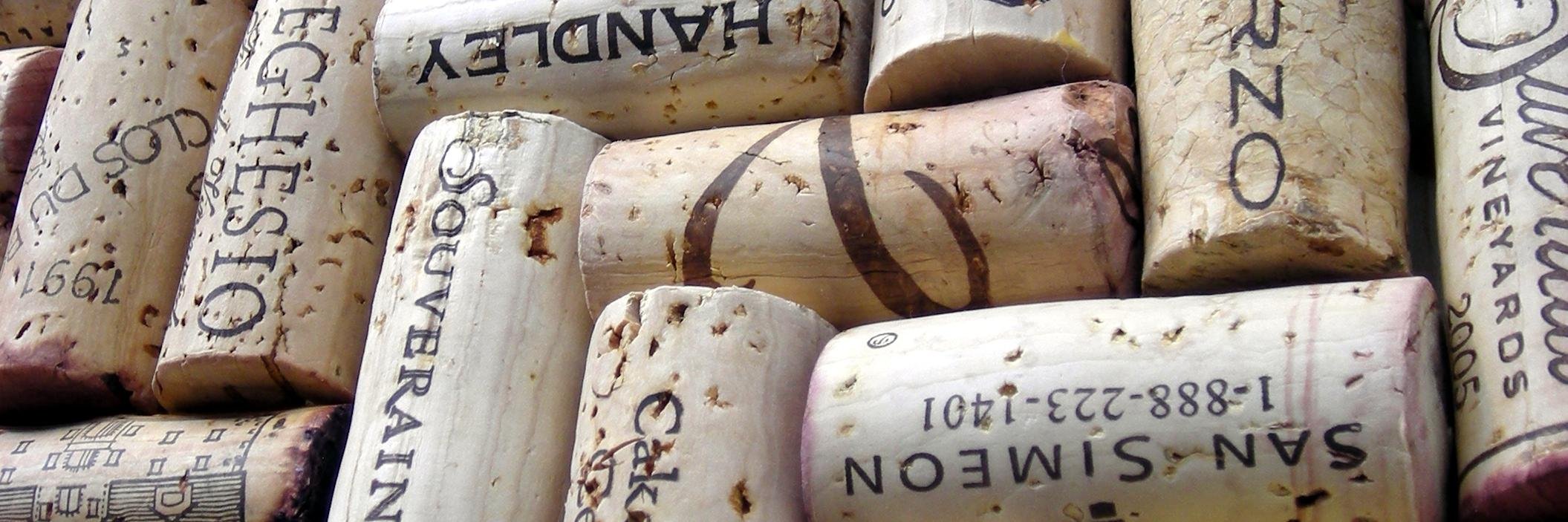 Marcello Bardecio banner