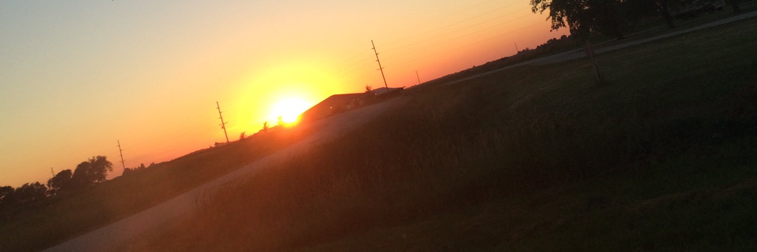 _allielang_'s profile banner image