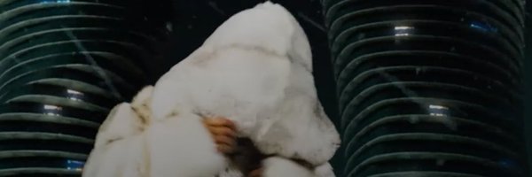 SixGodDon Profile Banner