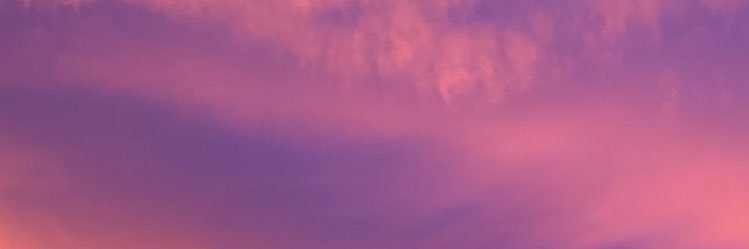 ines_g22's profile banner image