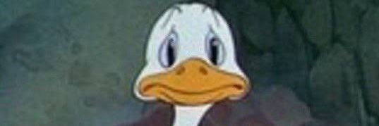 Benjamin Carrera banner