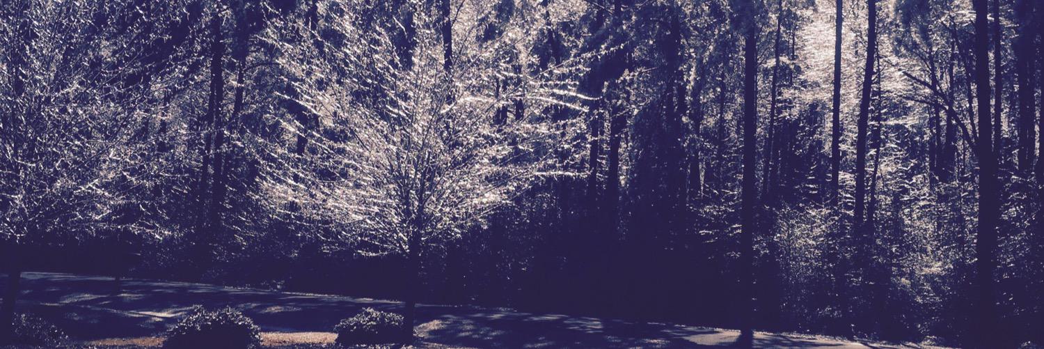 RileysRed7's profile banner image