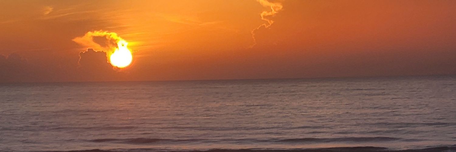 𝕮𝖗𝖞𝖕𝖙𝖔𝕵𝖔𝖊 banner