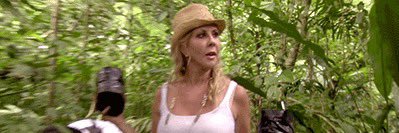 Shannini’s Panini’s✨ banner