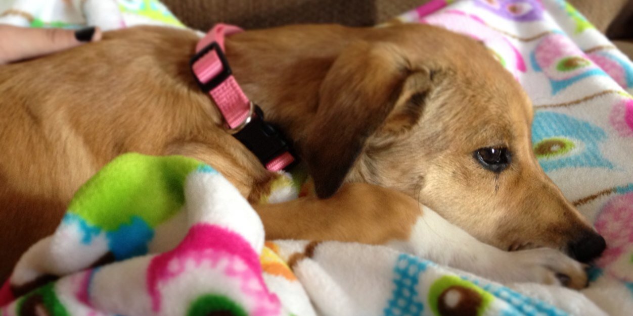 kalee_wells's profile banner image