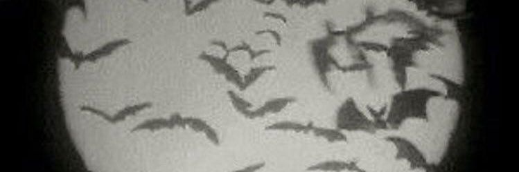v3ner3's profile banner image
