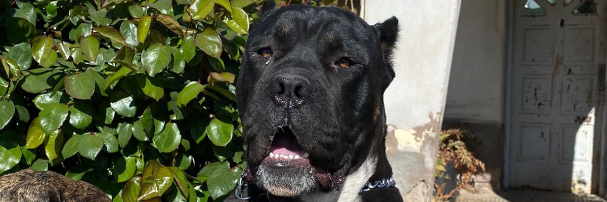 Maldofacu98's profile banner image