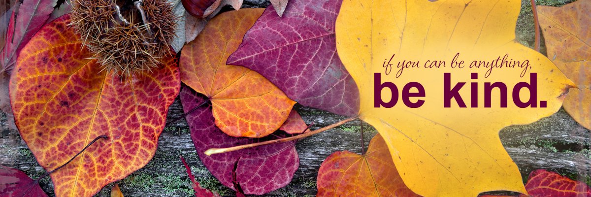 AnGia5224's profile banner image