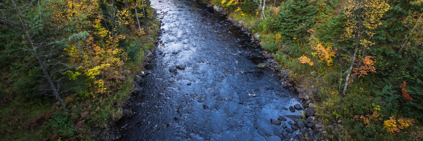 ConservAmerica banner