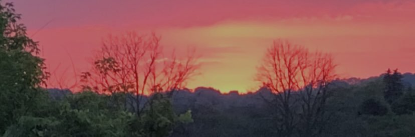 mukeshwinlyn's profile banner image