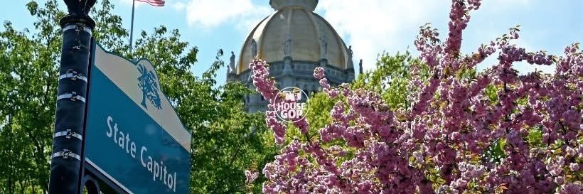 CT House Republicans banner