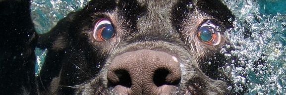 gui_'s profile banner image